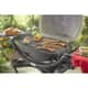 Weber Q 2000 Black Gas BBQ with Stand 5