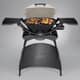Weber Q 2000 Titanium with Stand Gas BBQ 53060374 5