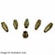 BeefEater Natural Gas Conversion Kit - Discovery 1100 Series - 95172