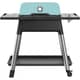 everdure Force 2 Burner Gas BBQ Matt Mint Gen 2 with Free Cover