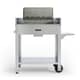 Fontana Tirreno Charcoal and Wood BBQ 2