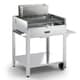 Fontana Tirreno Charcoal and Wood BBQ 1