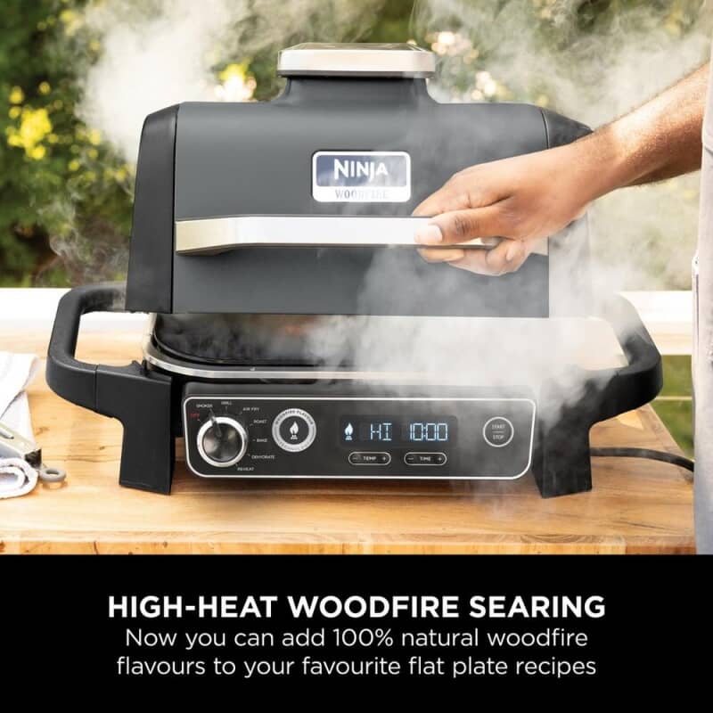 Ninja Woodfire Electric BBQ Grill Flat Plate Black (XSKGRIDPLT