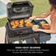 Ninja Woodfire XL Flat Plate Black 2