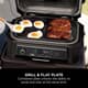 Ninja Woodfire XL Grill - Flat Plate Black 2