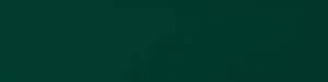 Yeti Black Forest Green