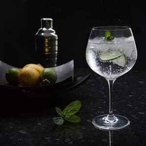 Gin Glasses