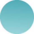 Le Creuset Signature Cast Iron 23cm Oval Casserole Teal