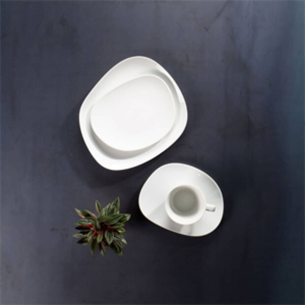 Villeroy Boch Organic White