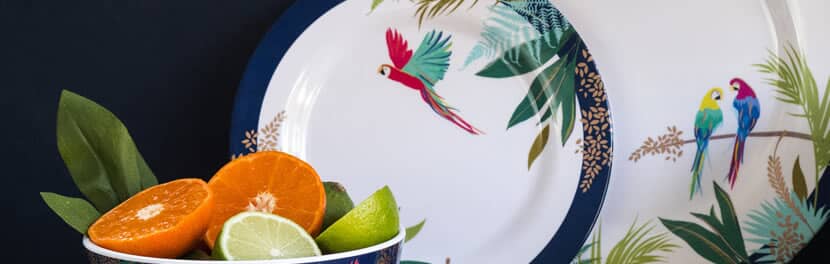 Portmeirion &nbsp; Sara Miller Parrot Collection