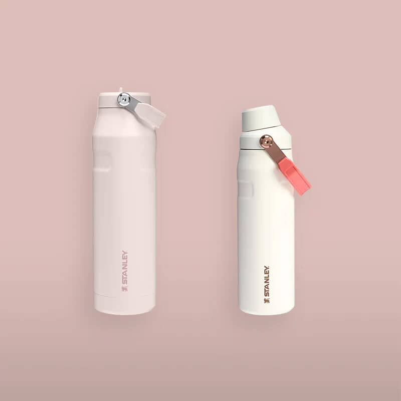Stanley Bottles