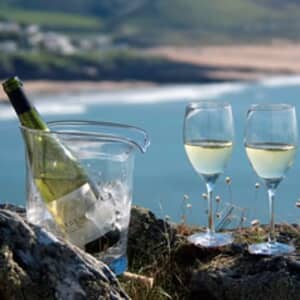 Dartington Wine Master