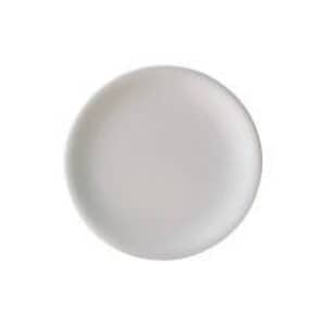 Denby China Medium Plate