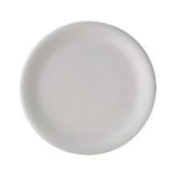 Denby China Dinner Plate