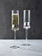 Anton Studio Designs Set of 2 SoHo Champagne Flutes Silver