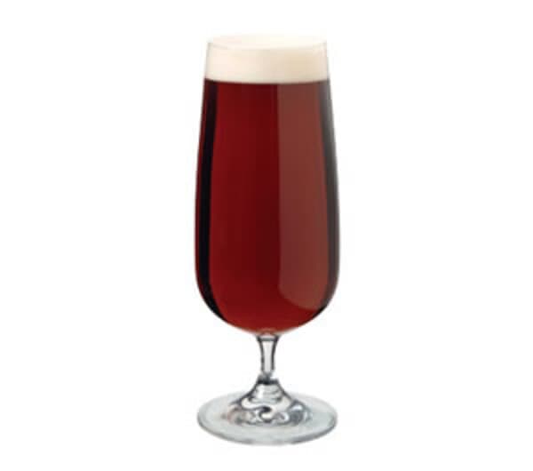 Dartington Essentials Beer Glass Pair