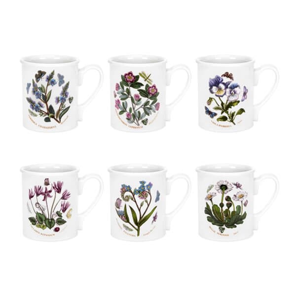 Portmeirion Botanic Garden - Breakfast Mug 9oz set 6