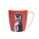 Couture Kingdom - Meerkat Acorn Mug