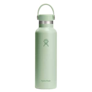 HydroFlask 21oz S/S Water Bottle with Flex Cap Aloe