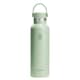 HydroFlask 21oz S/S Water Bottle with Flex Cap Aloe