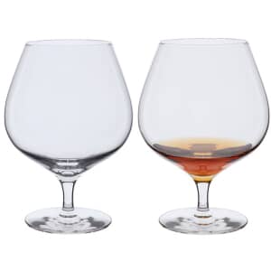 Dartington Wine Master Brandy Pair