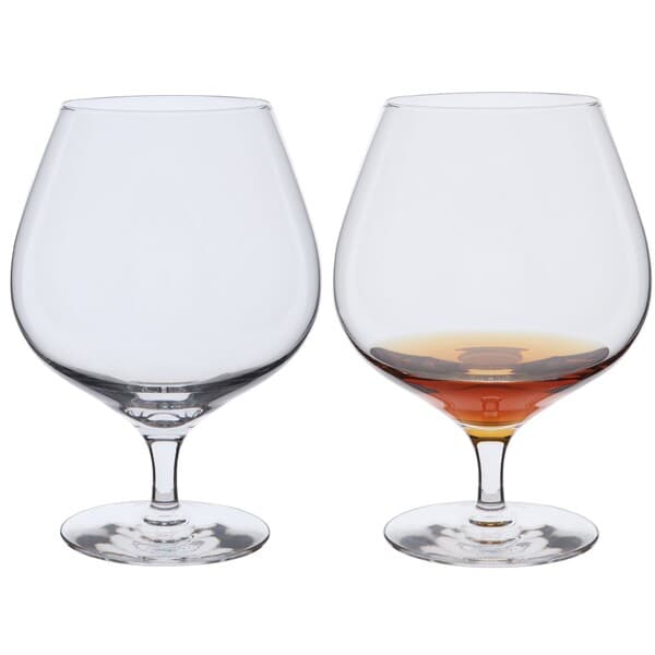 Dartington Wine Master Brandy Pair