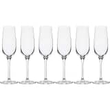 Dartington Drink Champagne Flute - 6 Pack