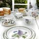 Additional view of Portmeirion Botanic Garden - Oval Plates Set Of 6
