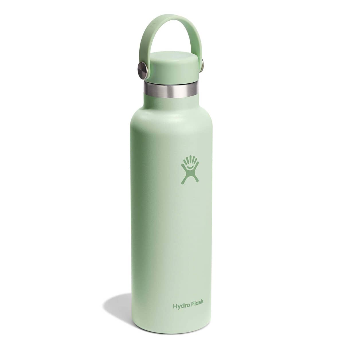 HydroFlask 21oz S/S Water Bottle with Flex Cap Aloe - (S21CSX338