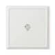 Additional view of Wrendale Christmas Square Plate Highland Star