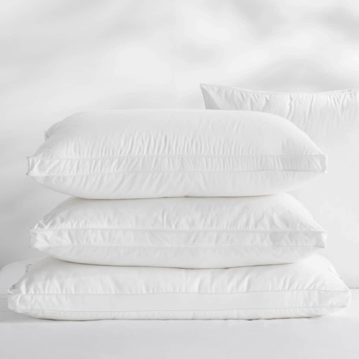 Sheridan Box Edge Pillow Pair large