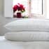 Fine Bedding Co The Perfect Pillow Pair small 5428B