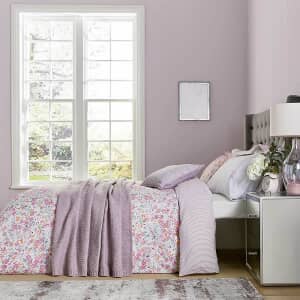 Calm Daisy Pink/Lilac