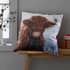 Catherine Lansfield Highland Cow Cushion Cover Multi thumb