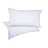 Martex Health and Wellness Microfibre Microfresh Seersucker Pillow small 7321PC1
