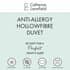 Catherine Lansfield Anti Allergy Hollowfibre small 7652C