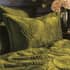Paoletti Palmeria Quilted Moss thumb 1
