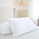 Plain Pillowcase Pair White