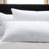 Lyndon Company Softened Duck Feather Pillow Pair thumb 1