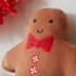 Catherine Lansfield Christmas Gingerbread Cushion small 8378A