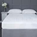 Anti Bacterial Protectors