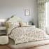 Sanderson National Trust Poets Rose Blush small