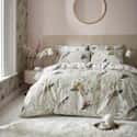 Clavering Birds Sage Green