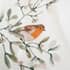 Catherine Lansfield Brushed Mistletoe Robins small 8647B