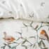 Catherine Lansfield Brushed Mistletoe Robins small 8647C