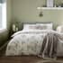 Catherine Lansfield Brushed Mistletoe Robins small