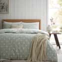 Brushed Polka Dot Green