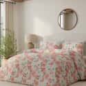 Ceci Floral