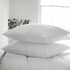Fine Bedding Co The Dream Pillow Pair small 8683PC1