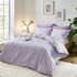 Sassy B Stripe Tease Lilac small 8909A